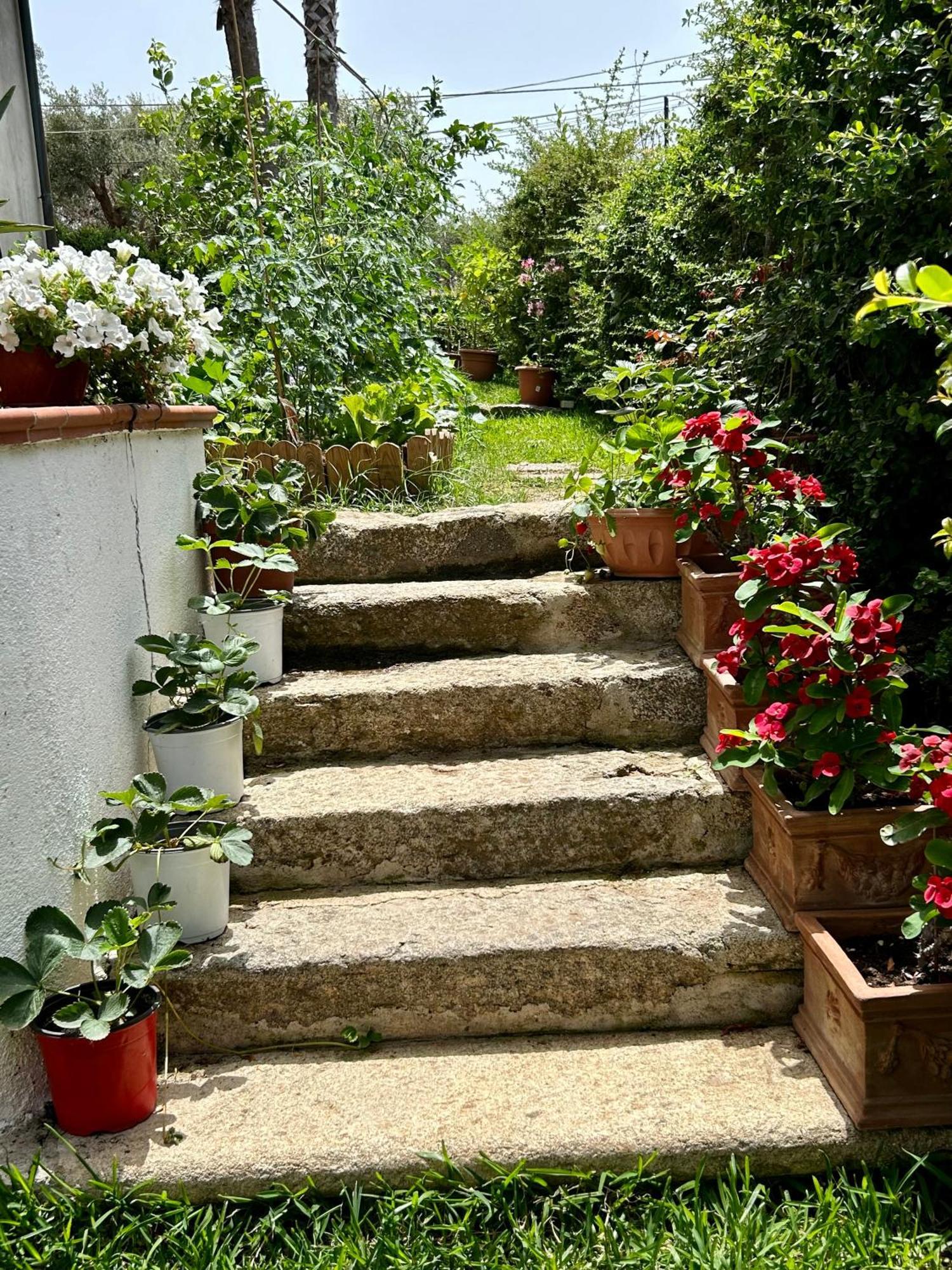 Апартаменти Alto Giardino Цамброне Екстер'єр фото